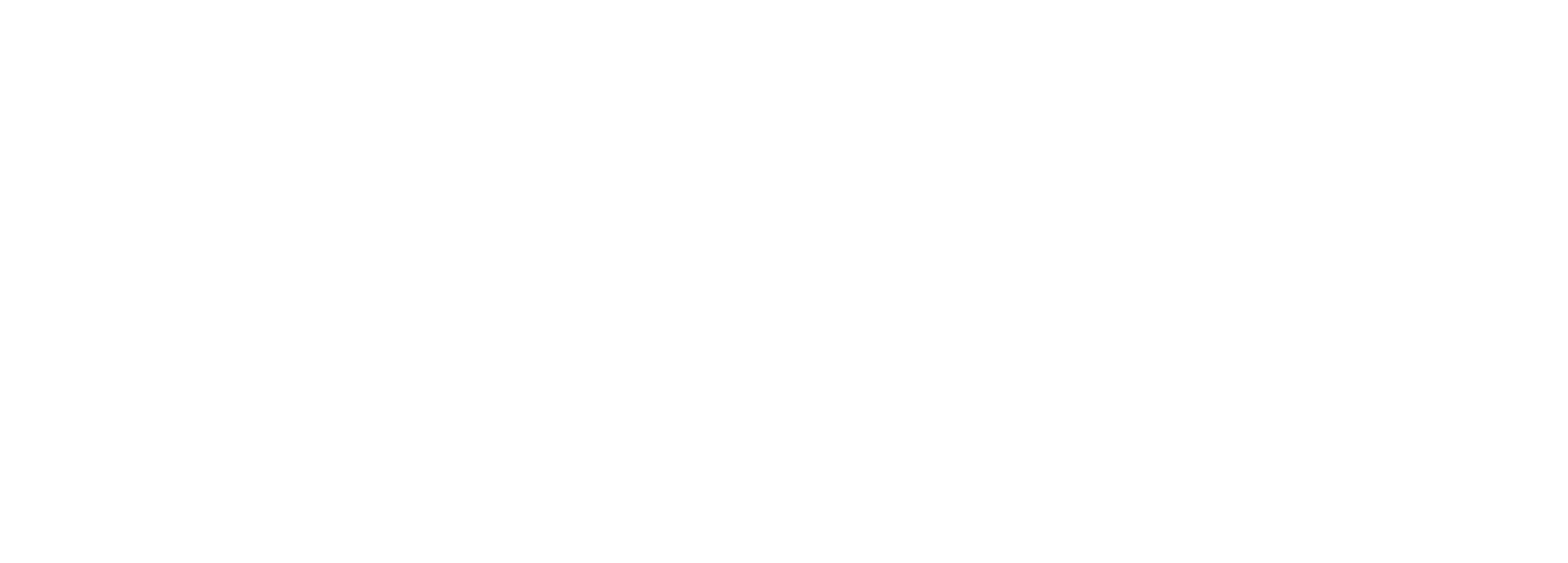 the fund nfhp logo white