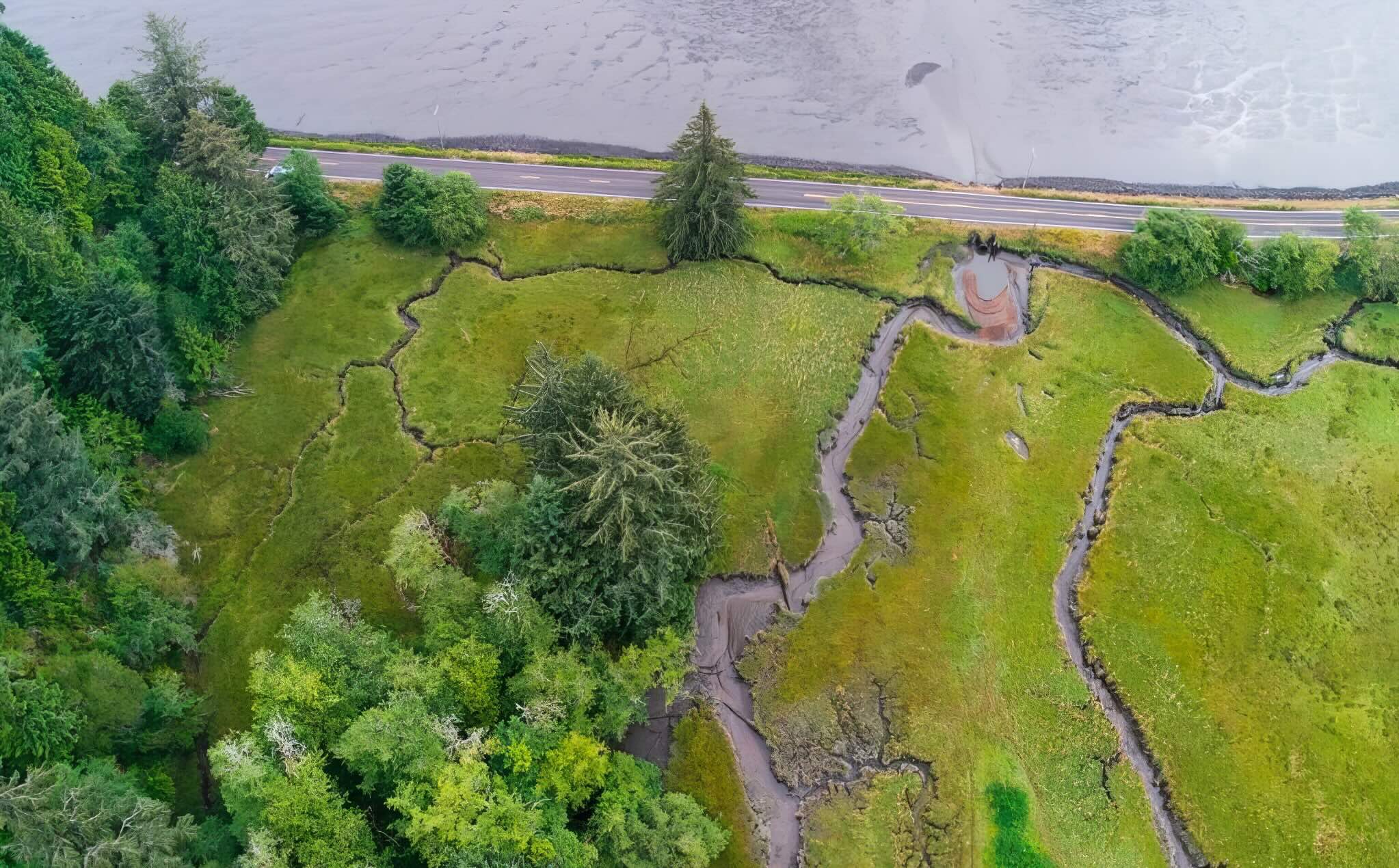 nfhp congressional report image resized