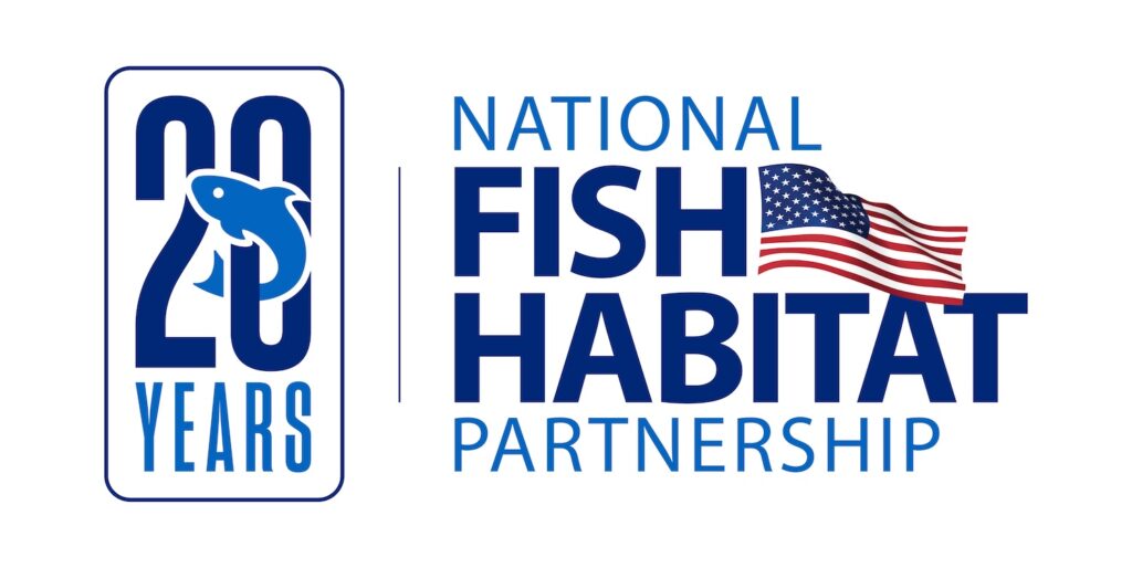 nfhp 20th anniversary logo rgb