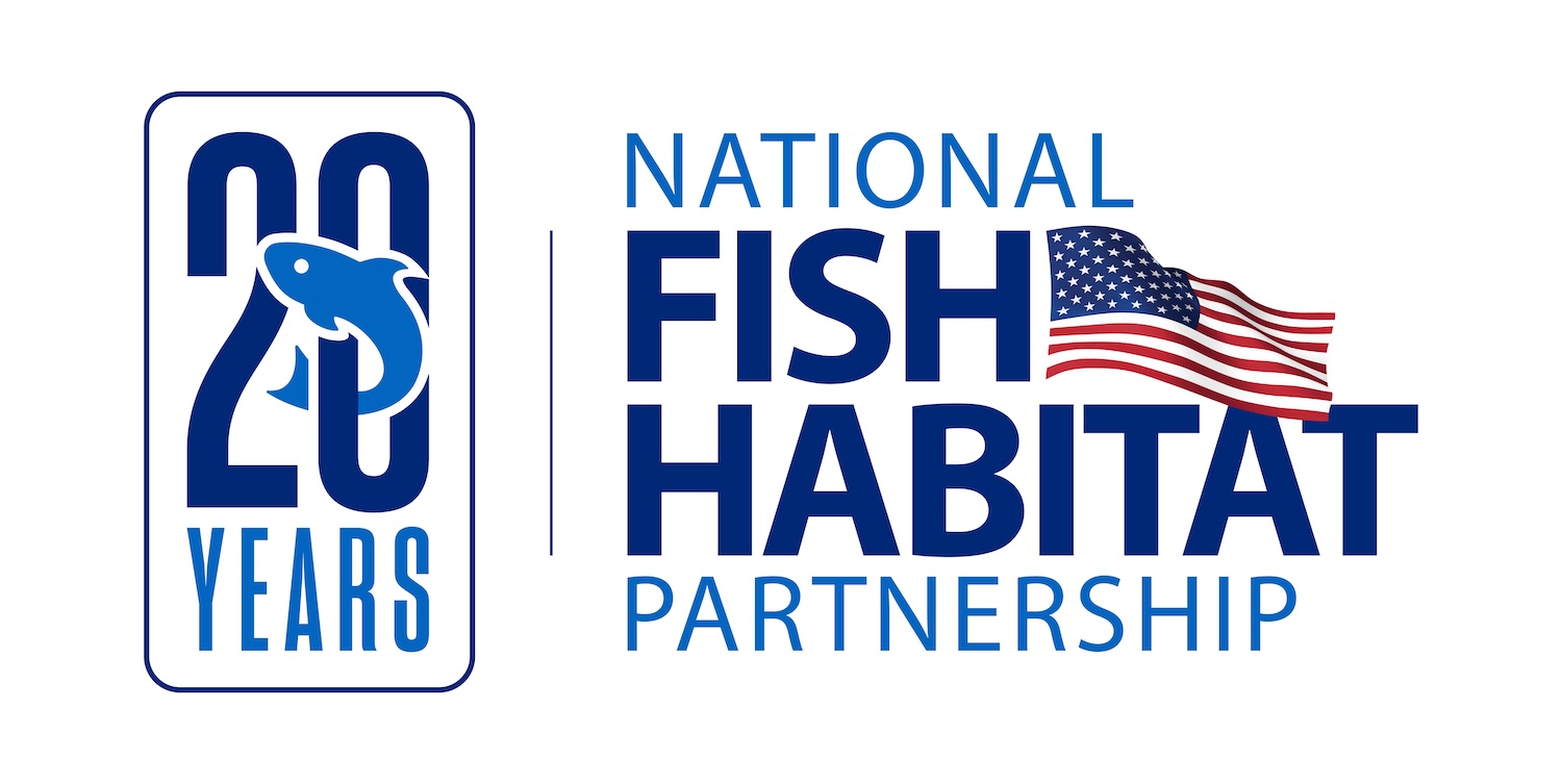 nfhp 20th anniversary logo rgb