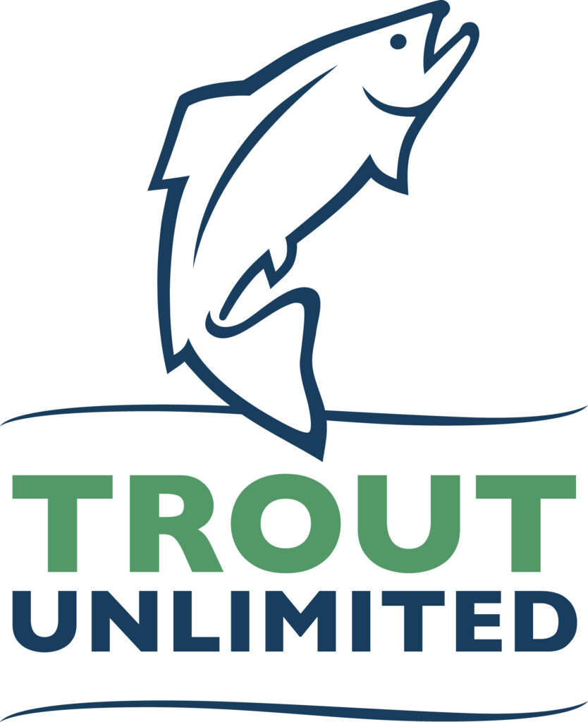 tu logo color